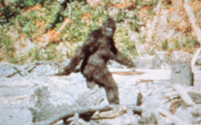 assquatch assquatch