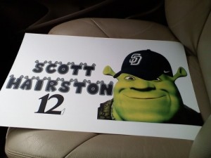 shrek-hairston